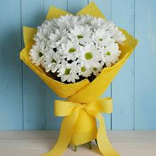 Букет цветов из:  Хризантемы в Каменногорске