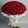 Букет 101 Красная роза Блэк Мэджик в Каменногорске