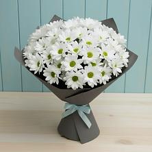 Букет цветов из:  Хризантемы в Каменногорске