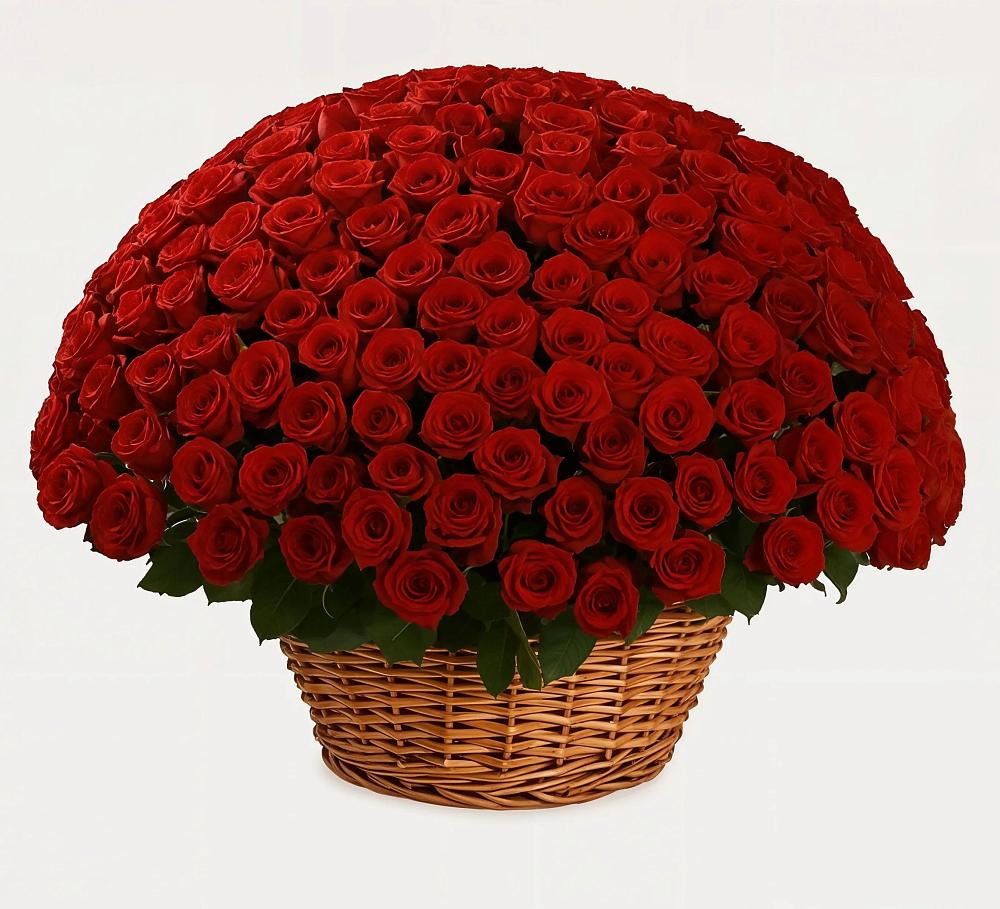 Премиум букет из: Розы в Каменногорске