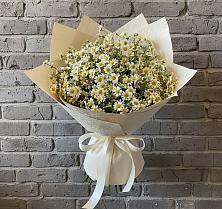 Букет цветов из:  Ромашки в Каменногорске