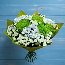 Букет цветов из:  Хризантемы в Каменногорске