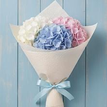 Букет цветов из:  Гортензия в Каменногорске