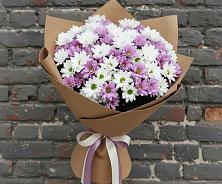 Букет цветов из:  Хризантемы в Каменногорске