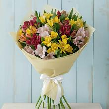 Букет цветов из:  Альстромерии в Каменногорске