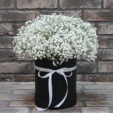 Цветочная композиция из Гипсофила в шляпной коробке в Каменногорске