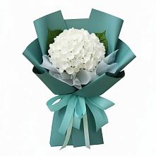Букет цветов из:  Гортензия #REPLACE_PRED# Каменногорске